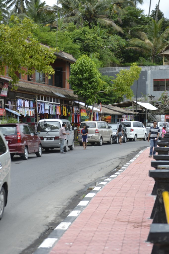 67 D8 Shops Near Rice Terraces, 1.6.13